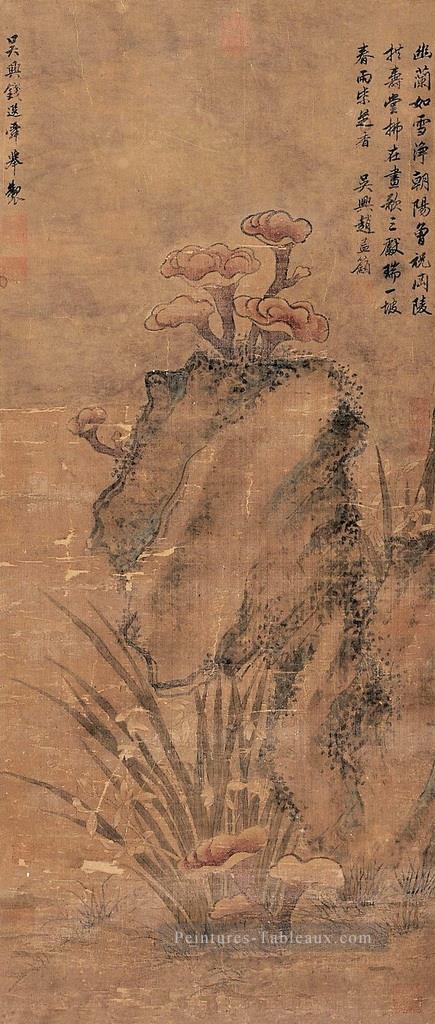 plantes de la longévité vieille encre de Chine Peintures à l'huile